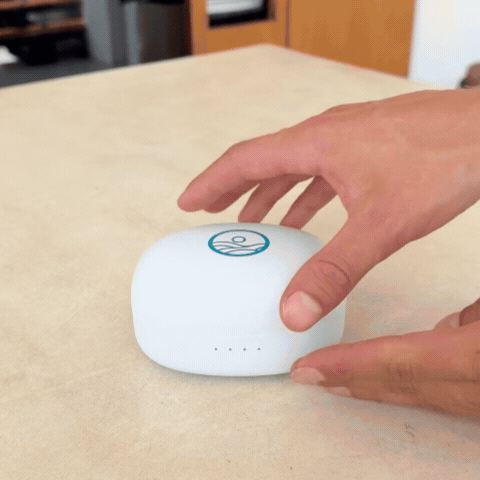 Funcionamiento del control remoto Bloomio